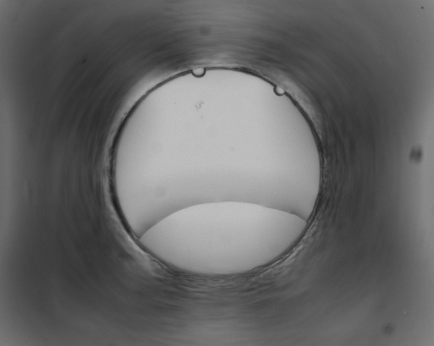 X0000102261187200808081353