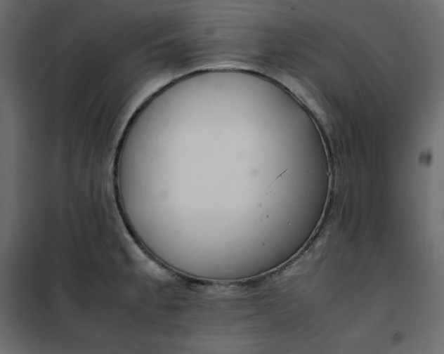 X0000102261189200808081353