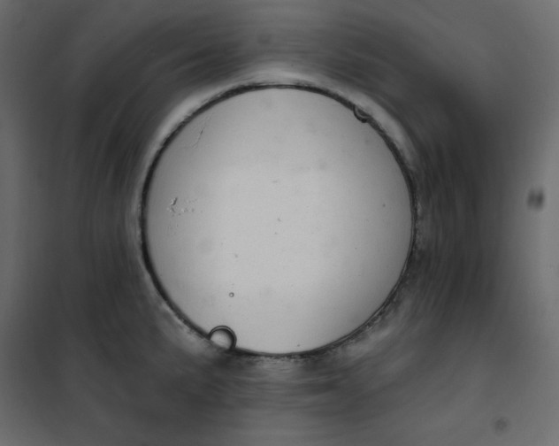 X0000102261191200808081353