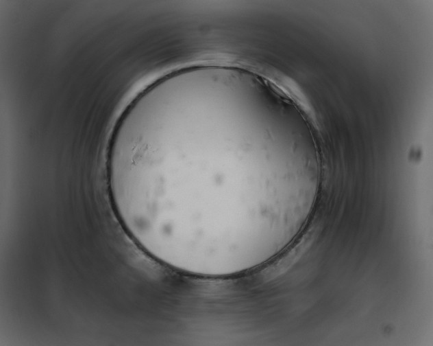 X0000102261192200808081353