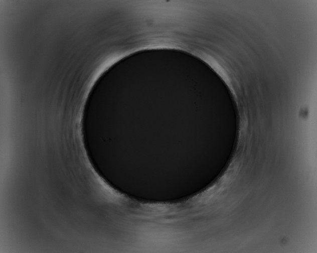 X0000102261197200808081353