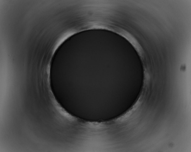 X0000102261198200808081353