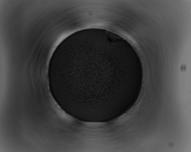 X0000102261200200808081353