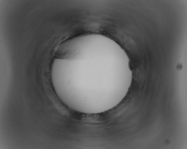 X0000102261201200808081352