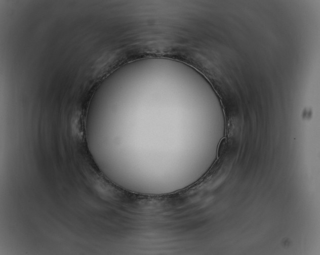 X0000102261202200808081352