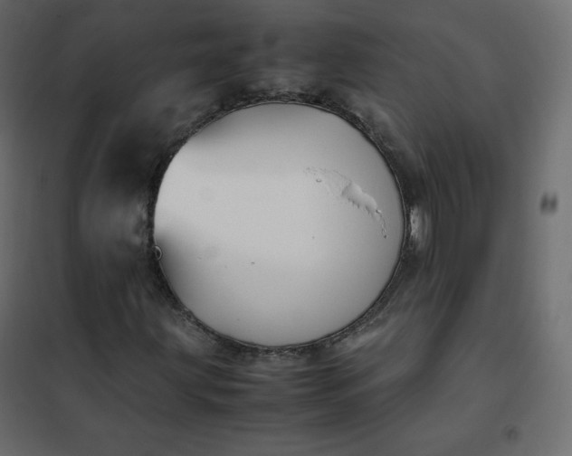 X0000102261203200808081352