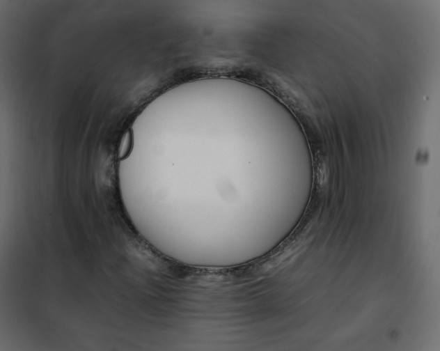 X0000102261204200808081352