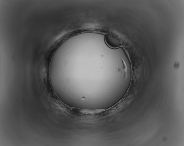 X0000102261206200808081352