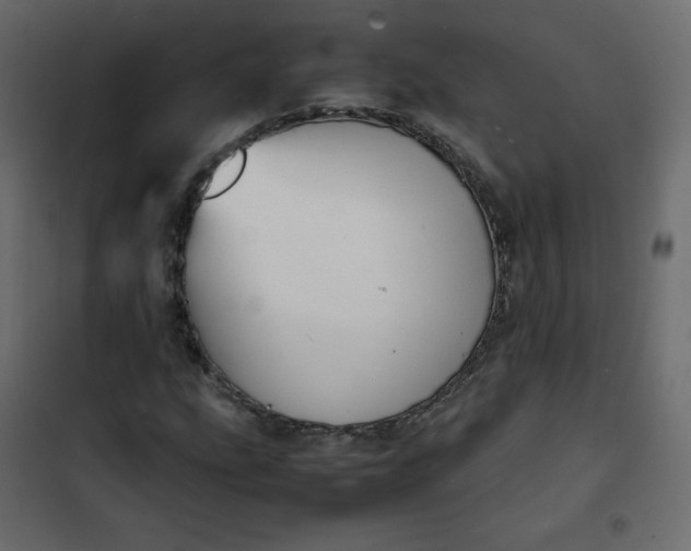 X0000102261207200808081352