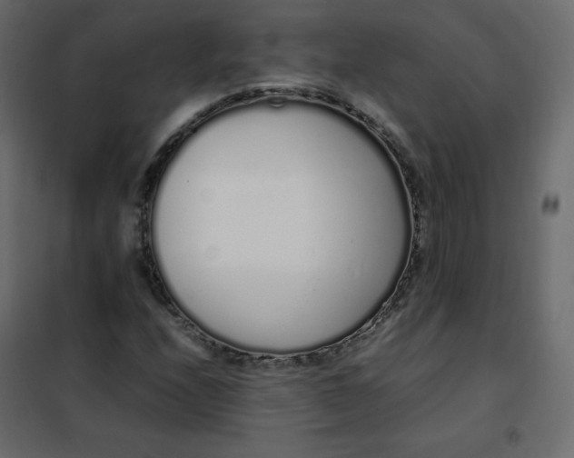 X0000102261208200808081352