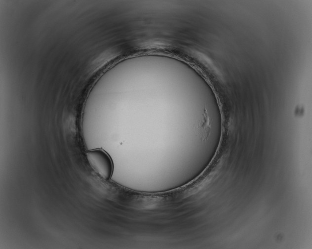 X0000102261209200808081353