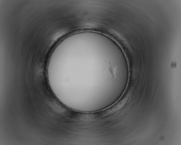 X0000102261210200808081353