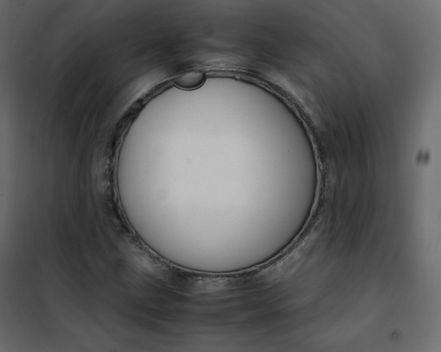 X0000102261211200808081353