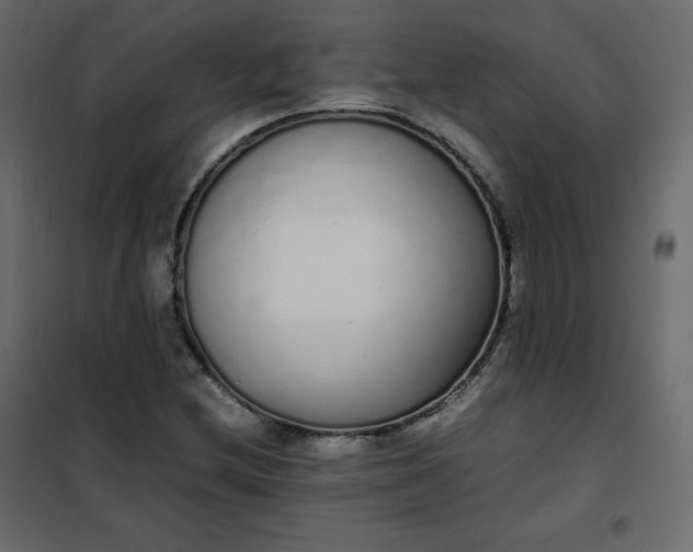 X0000102261212200808081353