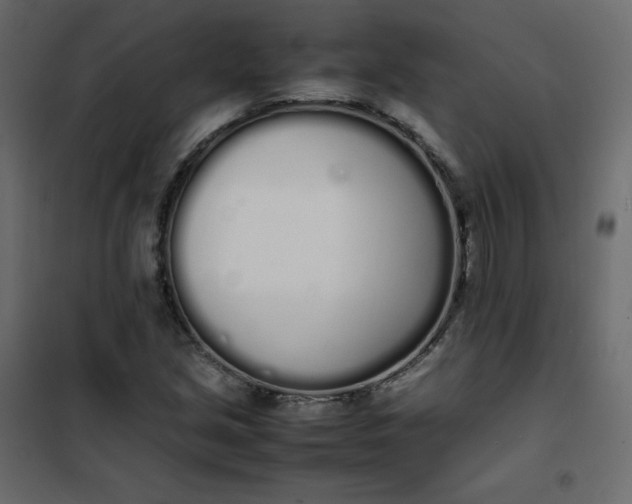 X0000102261213200808081353