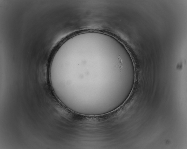 X0000102261214200808081353