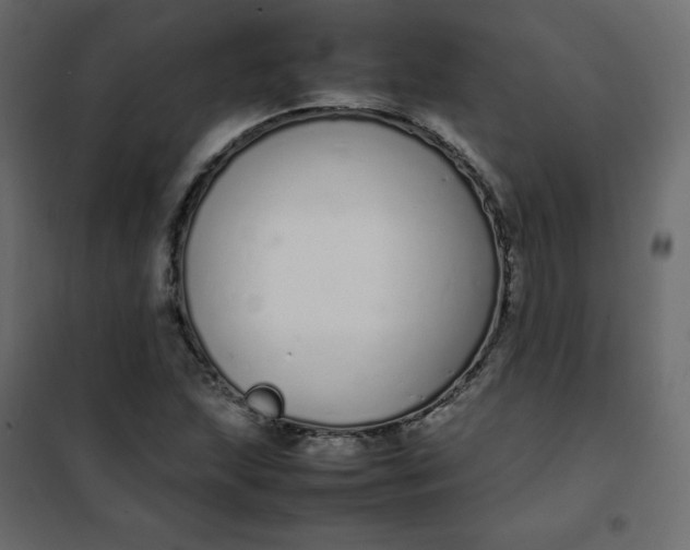 X0000102261215200808081353