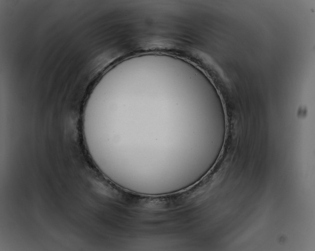 X0000102261217200808081353