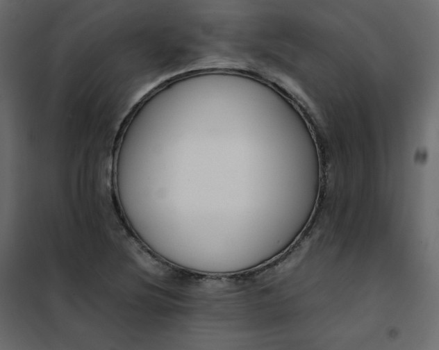 X0000102261220200808081353