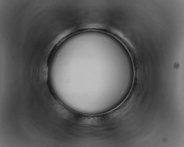 X0000102261221200808081353