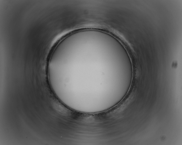 X0000102261222200808081353