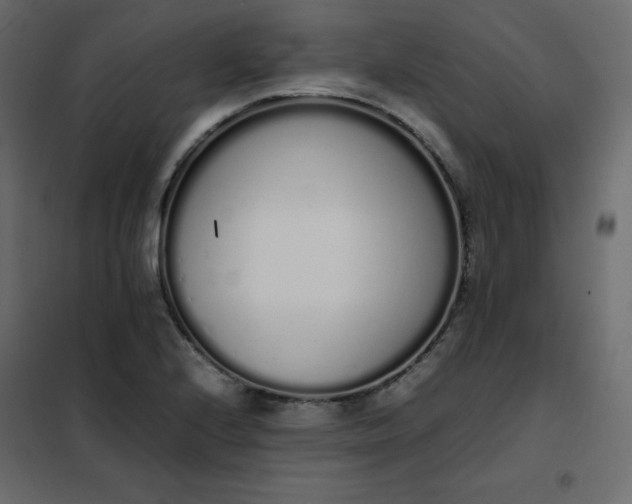 X0000102261224200808081353