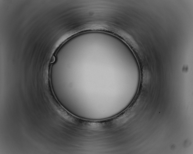 X0000102261226200808081353