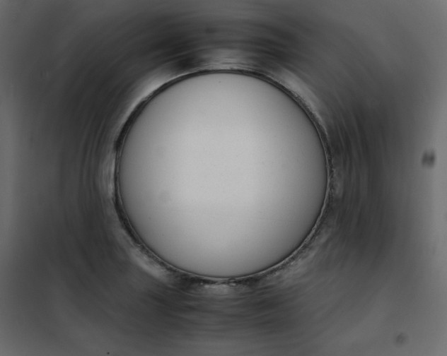 X0000102261227200808081353