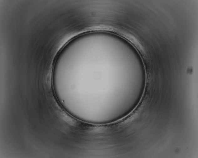 X0000102261228200808081353