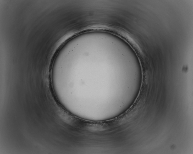 X0000102261229200808081353