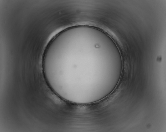 X0000102261230200808081353