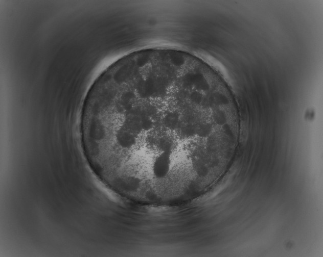 X0000102261231200808081353