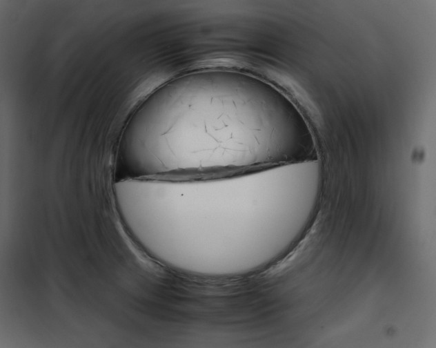 X0000102261233200808081353