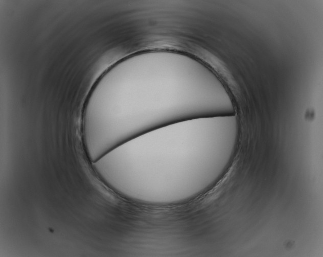 X0000102261234200808081353