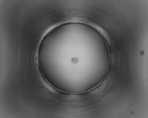 X0000102261238200808081353