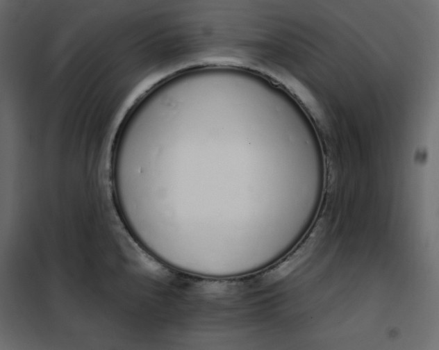 X0000102261240200808081353