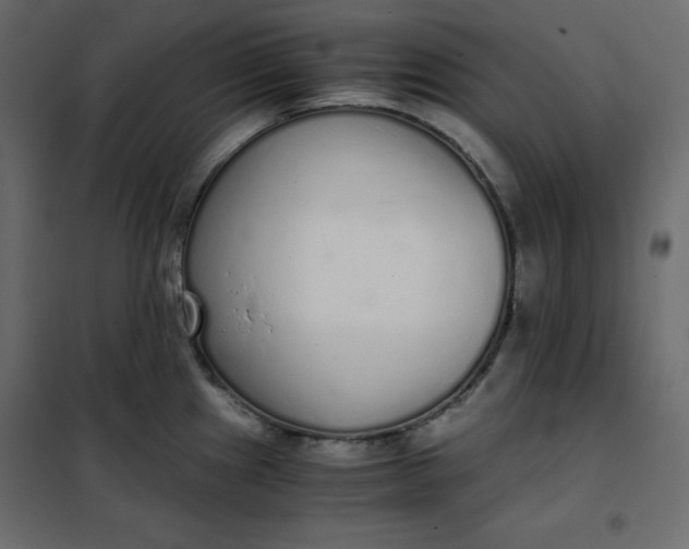 X0000102261241200808081353