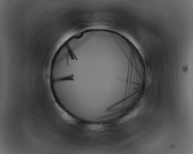 X0000102261245200808081353