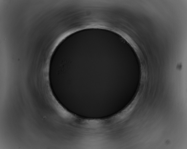 X0000102261246200808081353