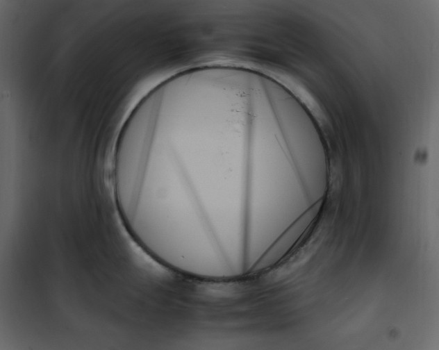 X0000102261247200808081353