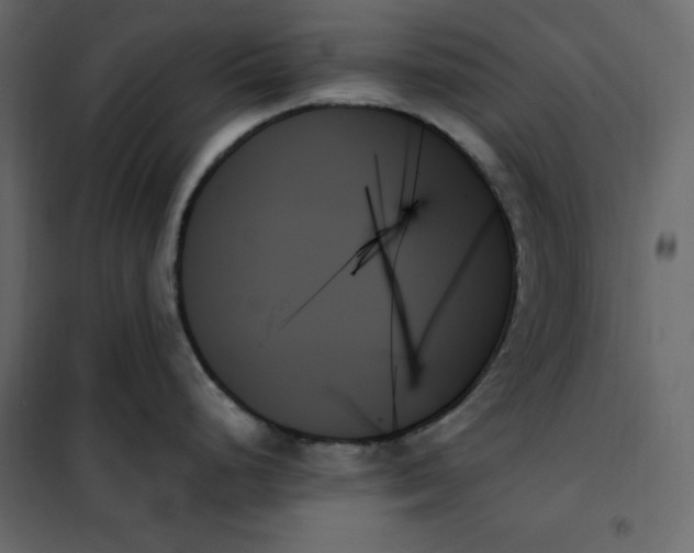 X0000102261248200808081353