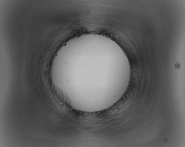 X0000102261249200808081352