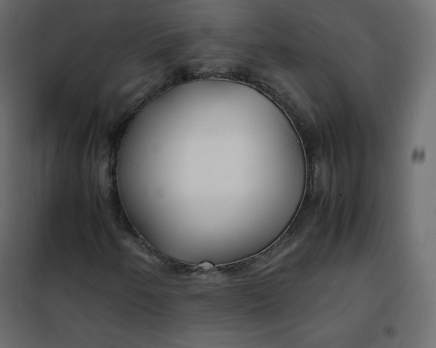 X0000102261250200808081352