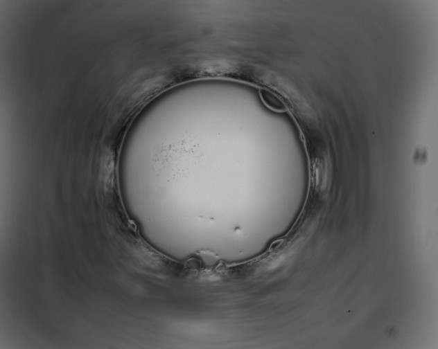 X0000102261251200808081352