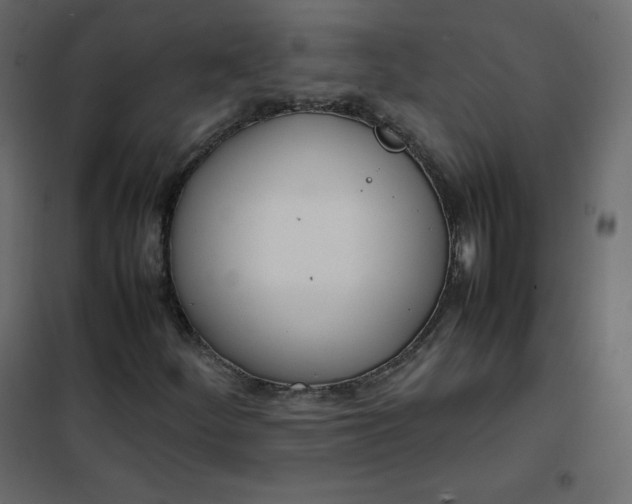 X0000102261252200808081352