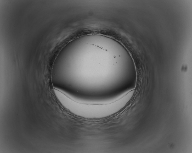 X0000102261253200808081352