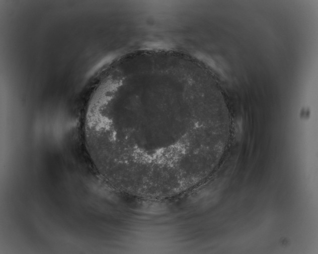 X0000102261254200808081352