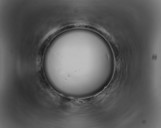 X0000102261255200808081352