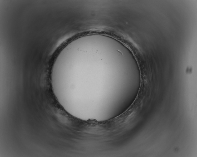 X0000102261256200808081352