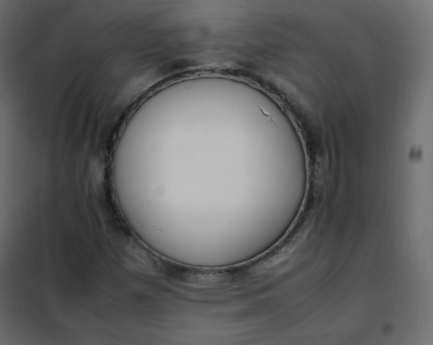 X0000102261257200808081352